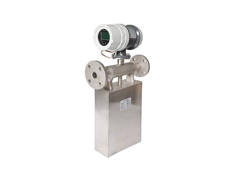 Mass flowmeter